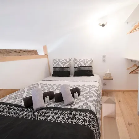 Apartment Le Saint Theodard -t2 Hyper Centre Vue Cathedrale Montauban